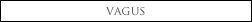 vagus
